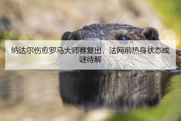 na-da-er-shang-yu-luo-ma-da-shi-sai-fu-chu-fa-wang-qian-re-shen-zhuang-tai-cheng-mi-dai-jie-2-492.jpg